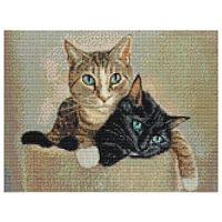 340025 алмазная мозаика "Котики Мимо и Кирри"